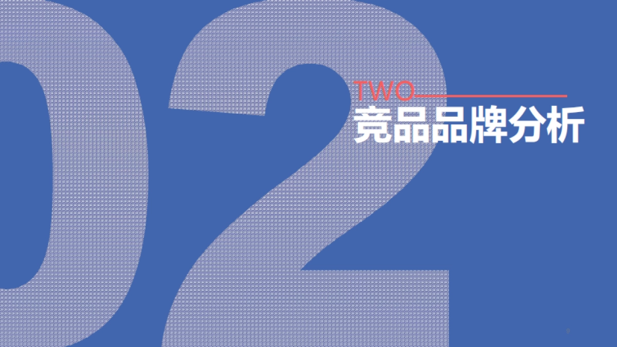 牙膏品牌竞品分析报告-41页_第10页