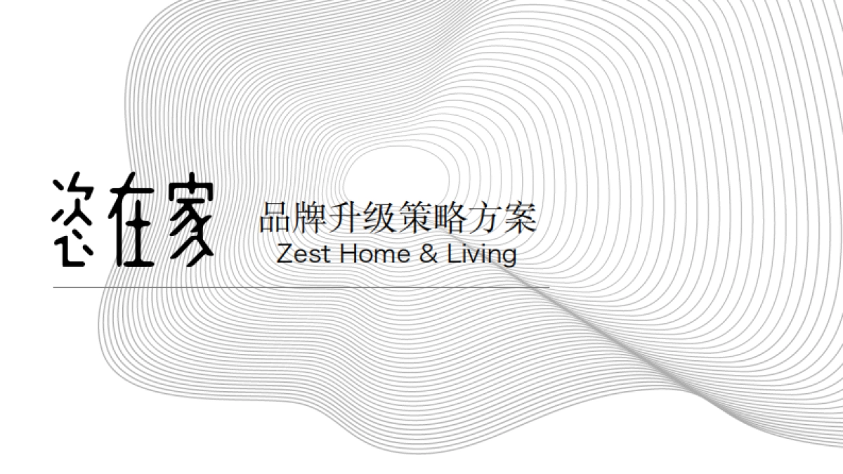 恣在家品牌策略_第1页