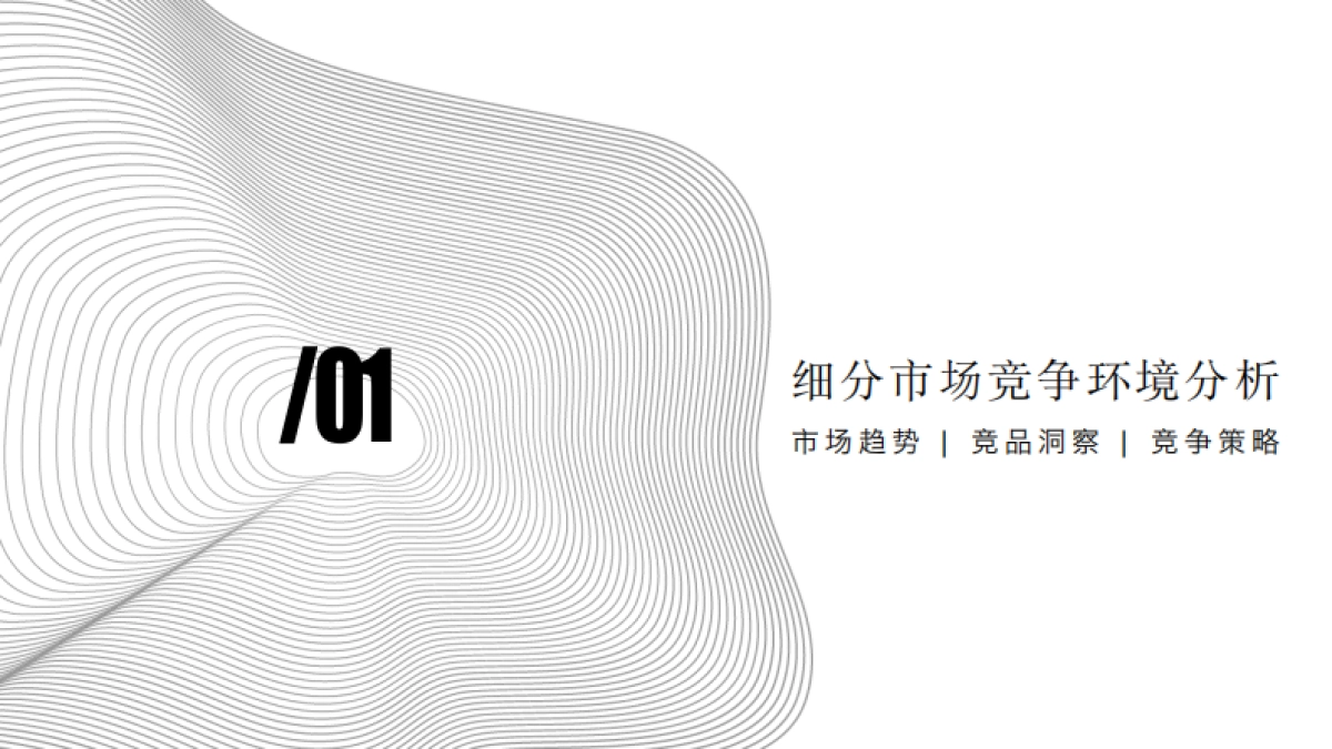 恣在家品牌策略_第3页