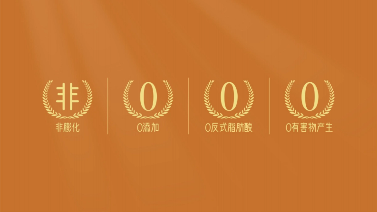 中国薯条 东方味道_第4页