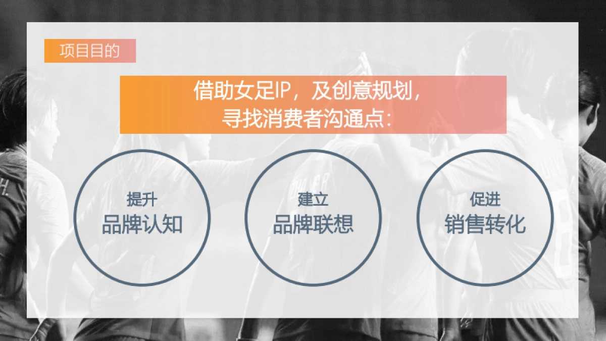 天和女足IP项目整合传播概念及视频创意提报_第2页