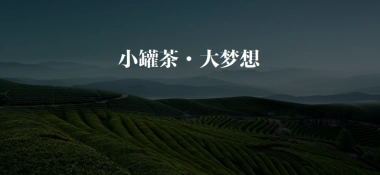 小罐茶·大梦想--小罐茶品牌发展规划