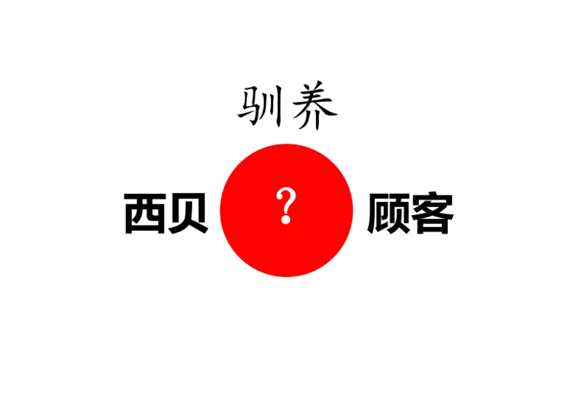 西贝莜面村品牌战略全案—用创意引爆战略-华与华_第6页