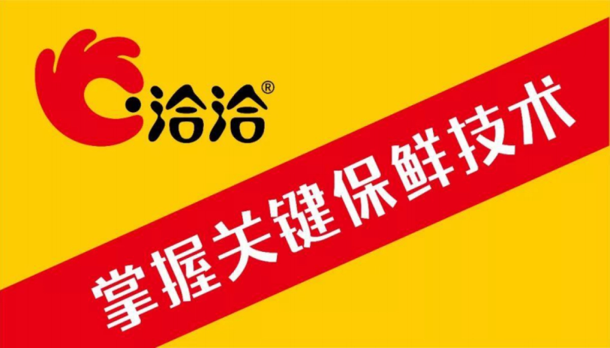 洽洽小黄袋包装设计案例解析_第6页