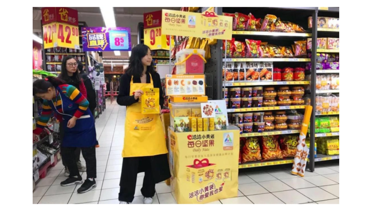 洽洽小黄袋包装设计案例解析_第9页