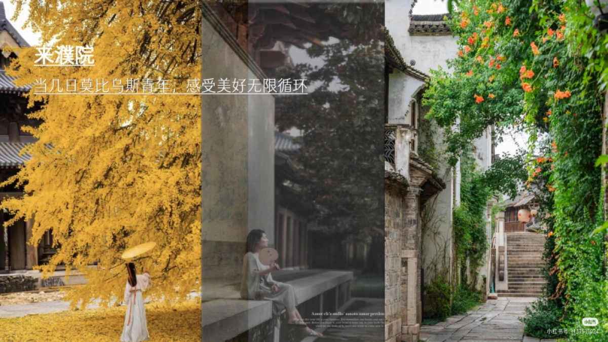 濮院古院品牌规划方案（框架讨论稿）_第5页