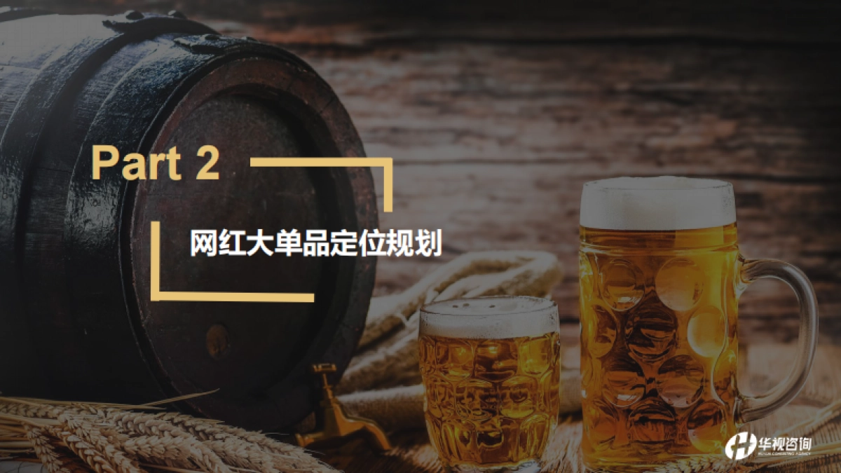 品牌策略--金龙泉颜值啤酒品牌策略_第2页