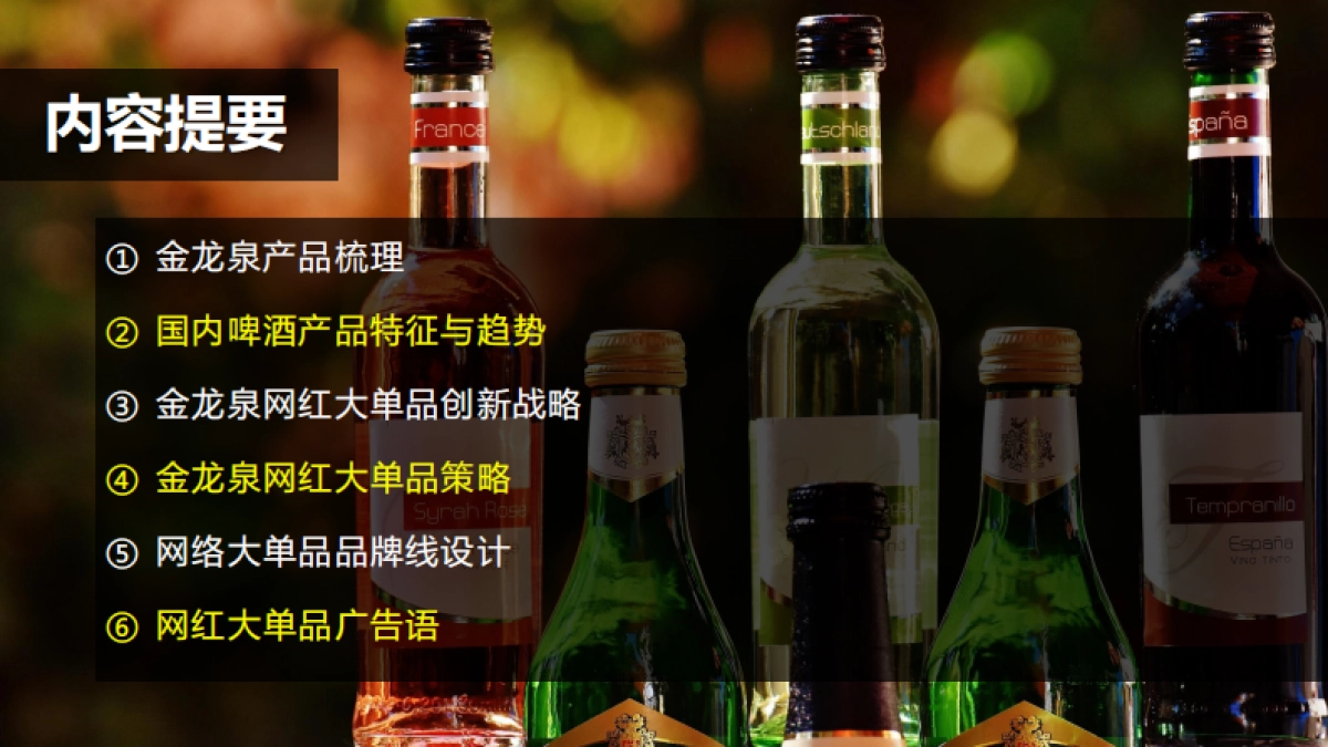 品牌策略--金龙泉颜值啤酒品牌策略_第3页