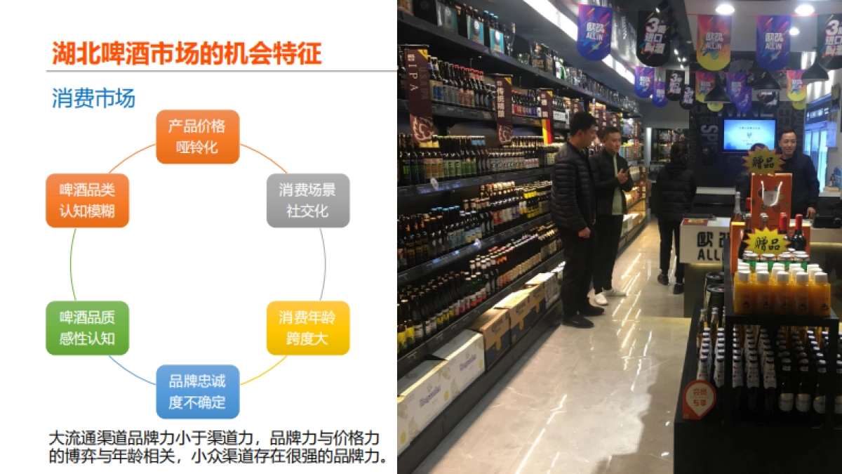 品牌策略--金龙泉颜值啤酒品牌策略_第5页