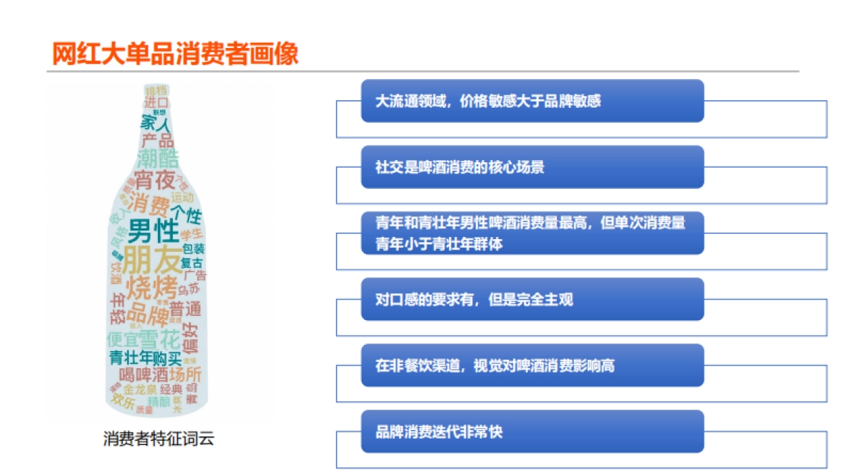 品牌策略--金龙泉颜值啤酒品牌策略_第9页