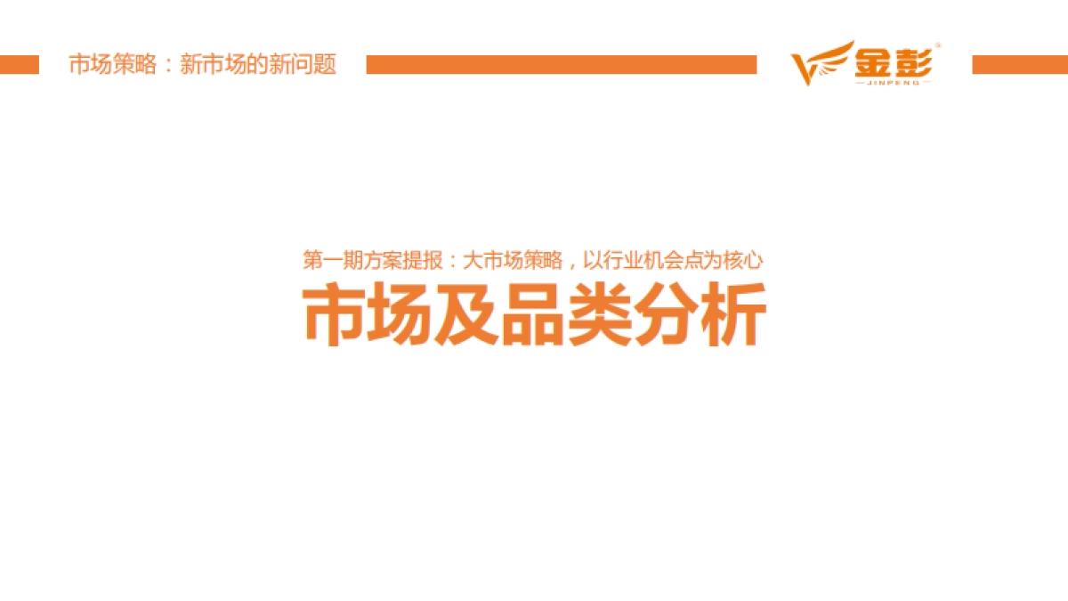 金彭品销策略及双品牌策略规划_第2页