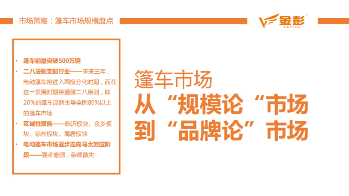 金彭品销策略及双品牌策略规划_第8页