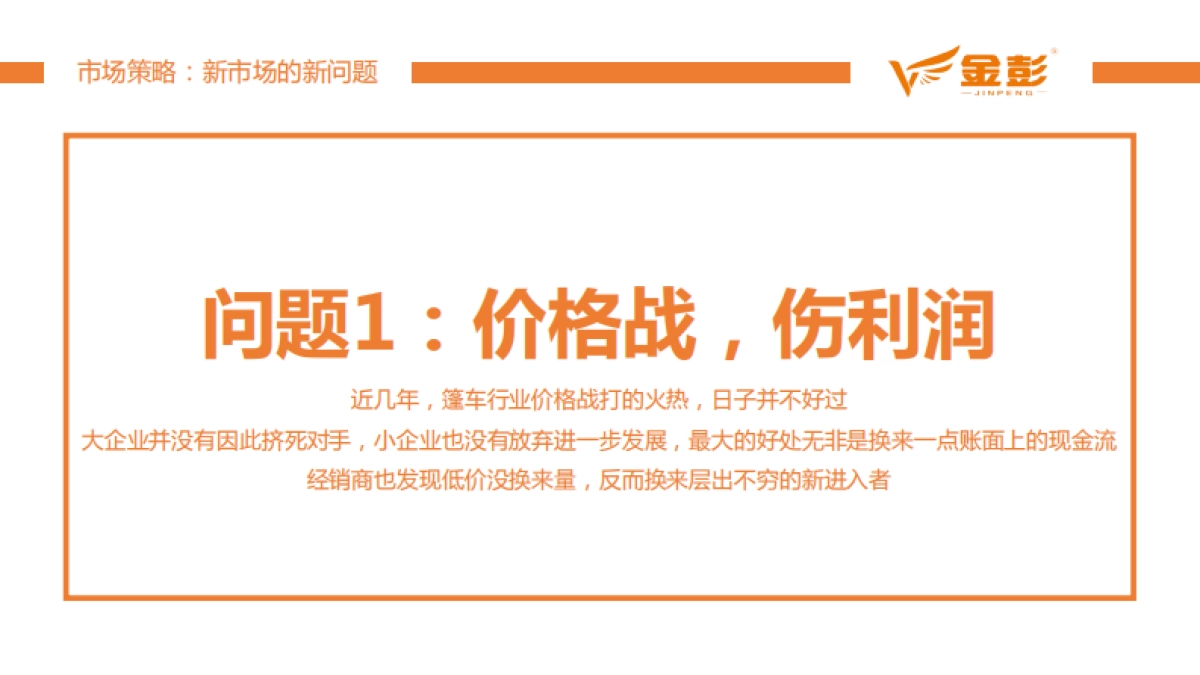 金彭品销策略及双品牌策略规划_第9页