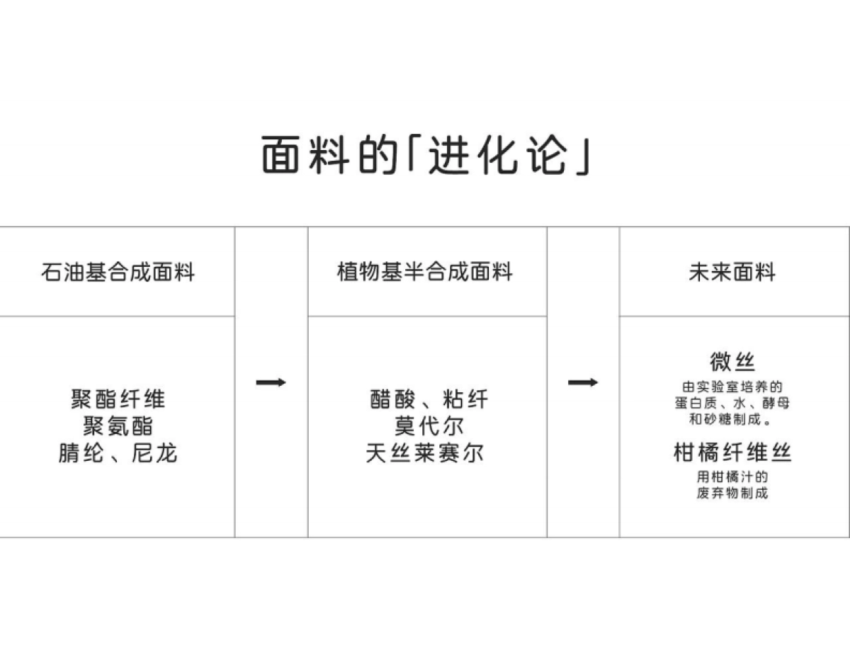 简云内衣品牌推广战略方案_第7页