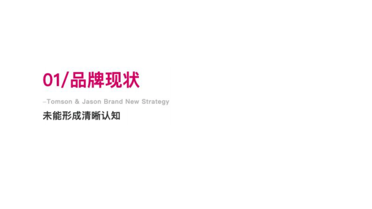 嘉华鲜花饼「正宗」战略重塑方案_第2页