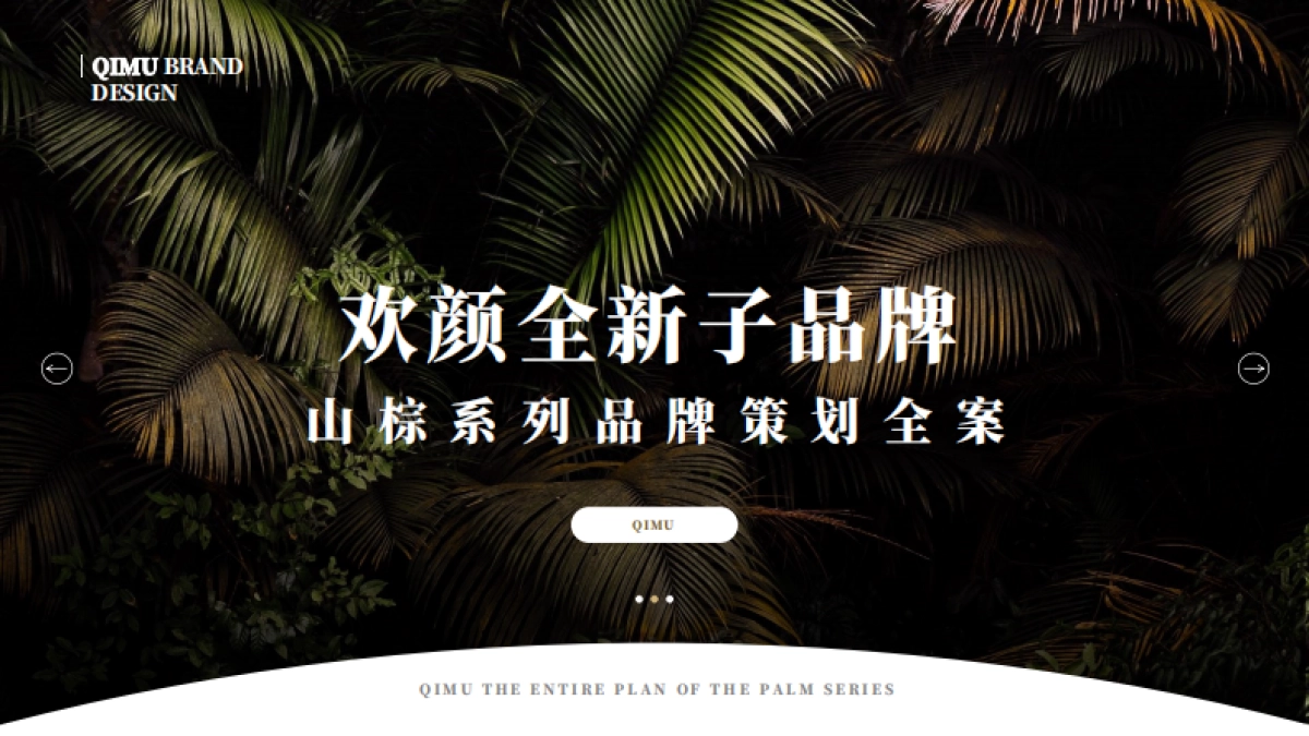 欢颜子品牌打造全案V3_第1页