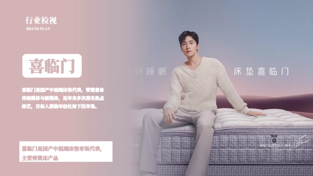 欢颜子品牌打造全案V3_第5页