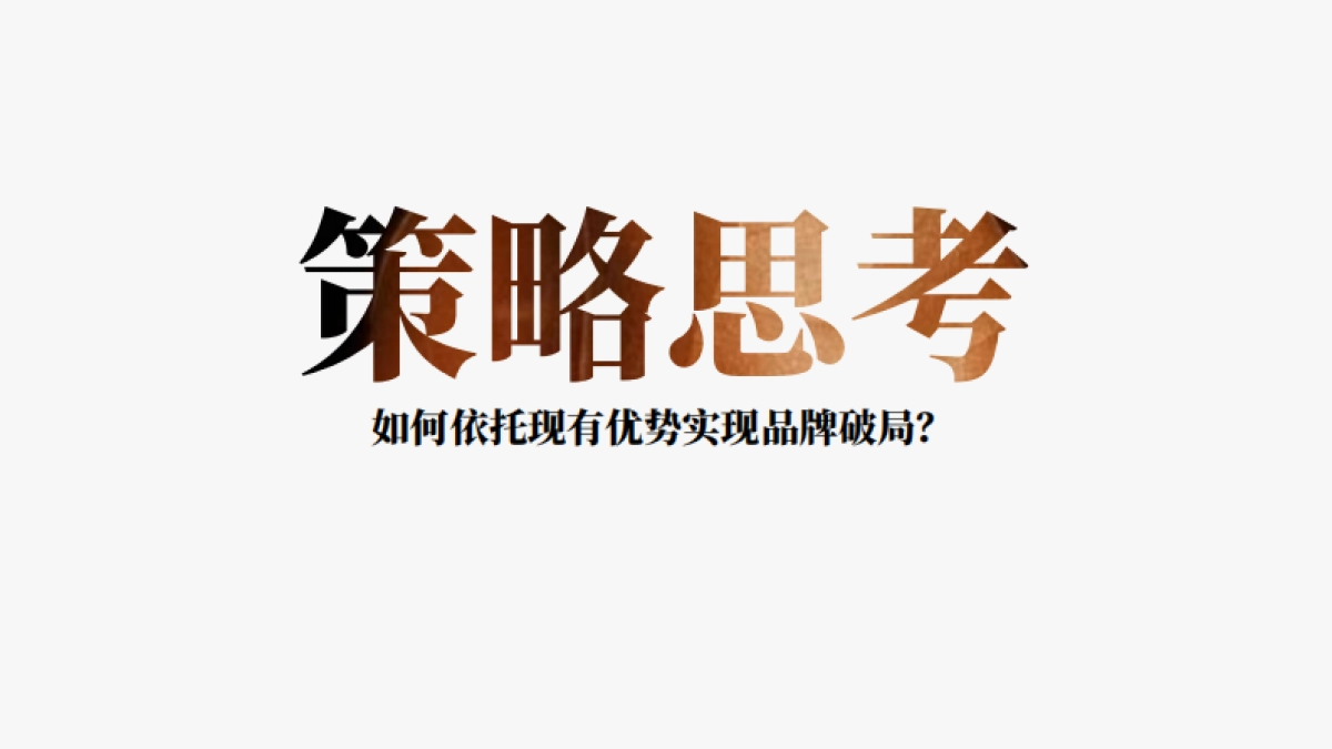 欢颜子品牌打造全案V3_第6页