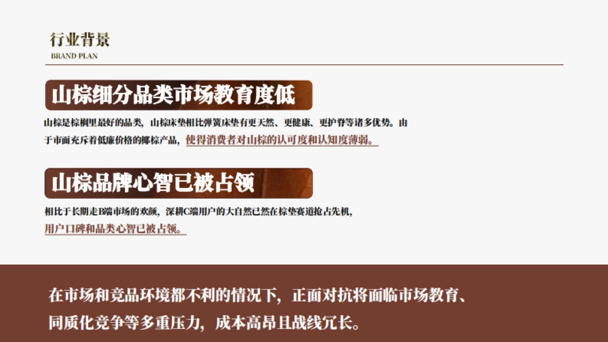 欢颜子品牌打造全案V3_第7页