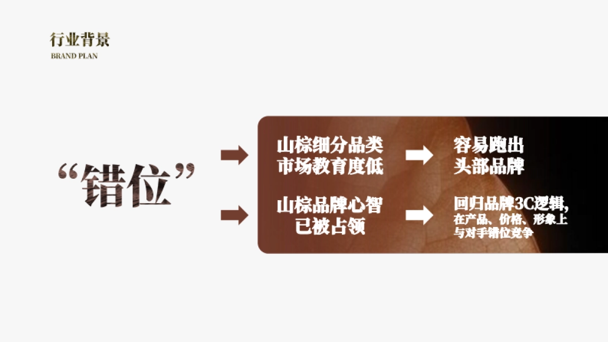 欢颜子品牌打造全案V3_第8页