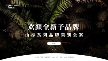 欢颜子品牌打造全案V3