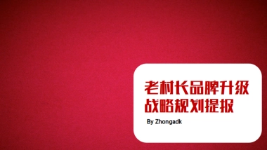 老村长（酒）品牌升级规划提报