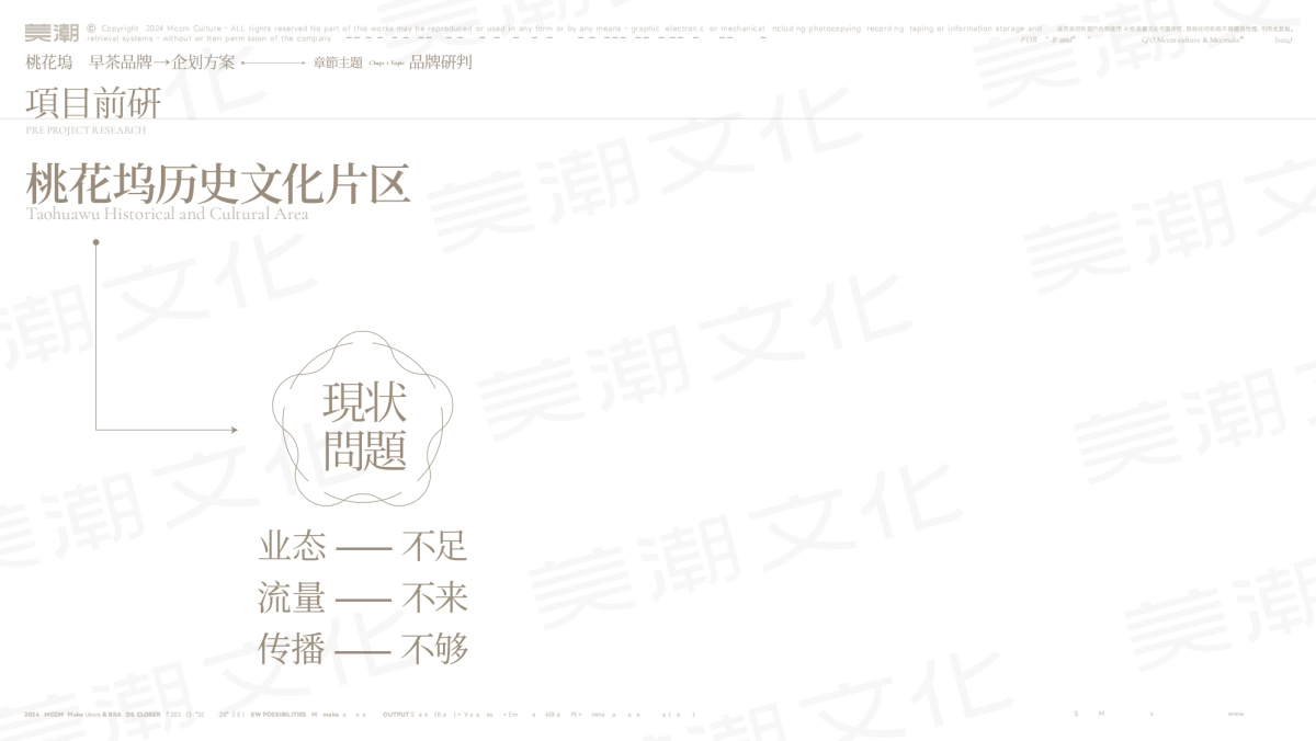 2024桃花坞早茶品牌企划方案_第10页