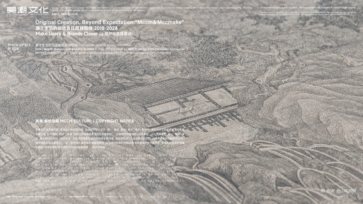 2024桃花坞早茶品牌企划方案_第2页