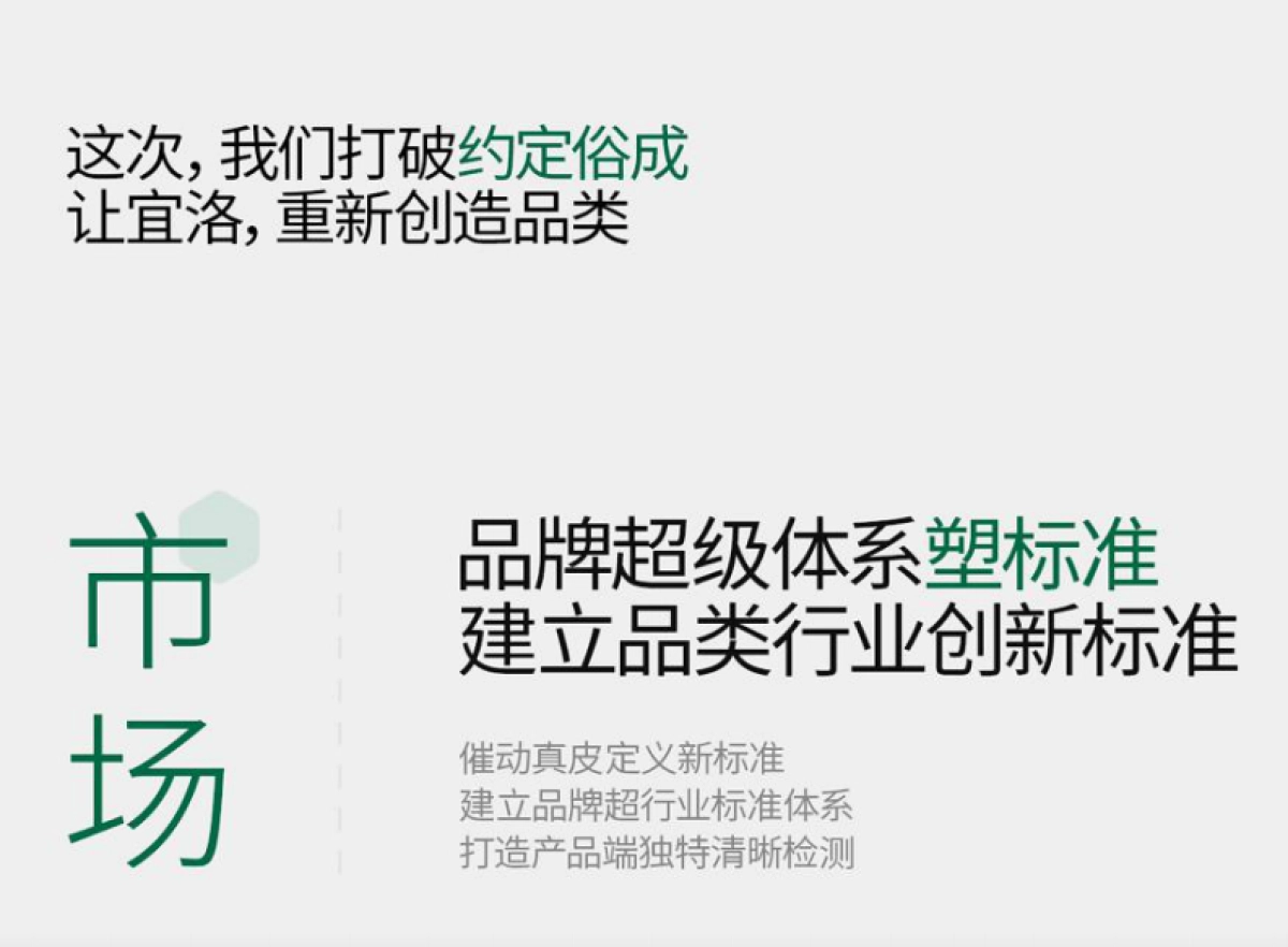 2024宜洛家具超级品牌价值体系战略升级全案(OCR)_第4页