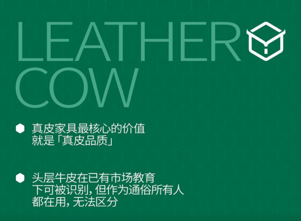 2024宜洛家具超级品牌价值体系战略升级全案(OCR)_第9页