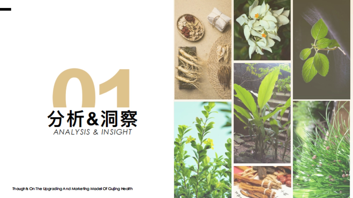 古井健康酵素饮品牌升级全案_第4页