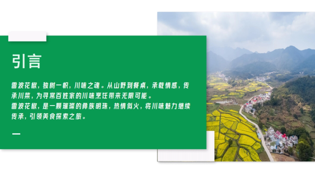 川香智慧-民族品格：雷波花椒品牌策划_第2页