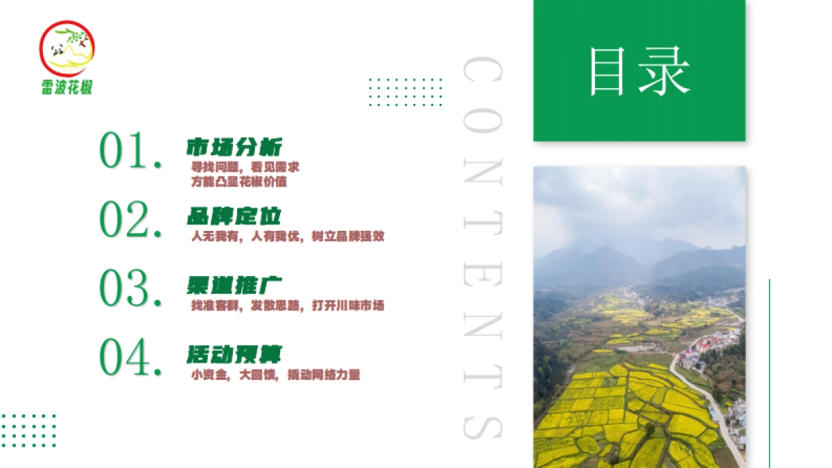 川香智慧-民族品格：雷波花椒品牌策划_第3页