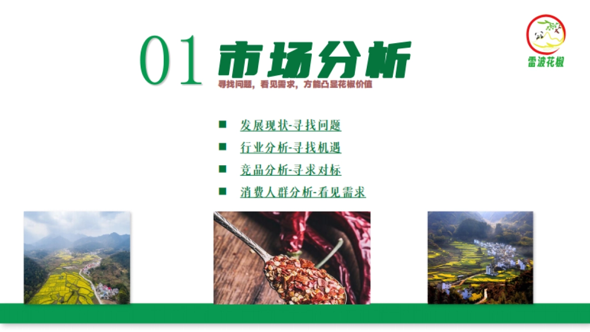 川香智慧-民族品格：雷波花椒品牌策划_第4页