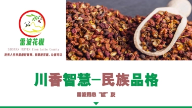 川香智慧-民族品格：雷波花椒品牌策划