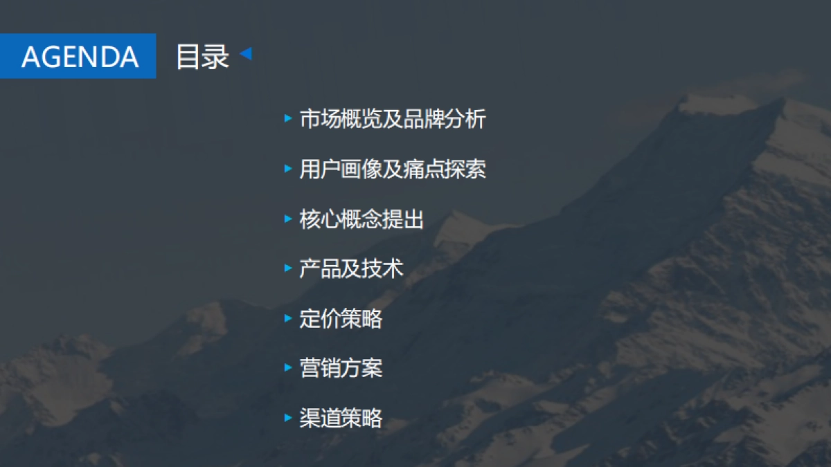 The North Face 新产品策划_第2页