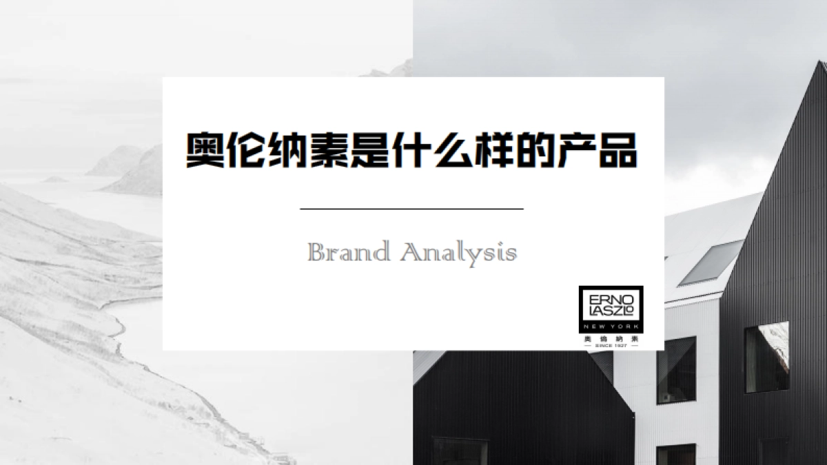 ENRO LASZLO CN品牌宣传策划案_第2页