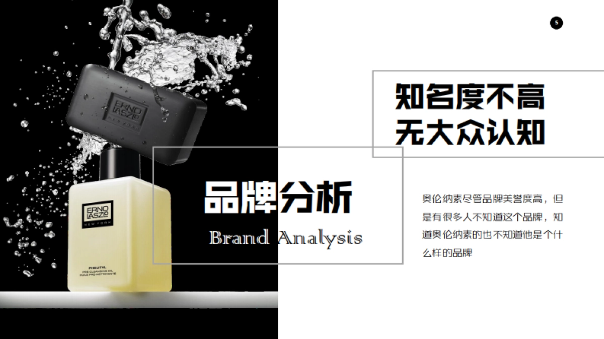 ENRO LASZLO CN品牌宣传策划案_第5页