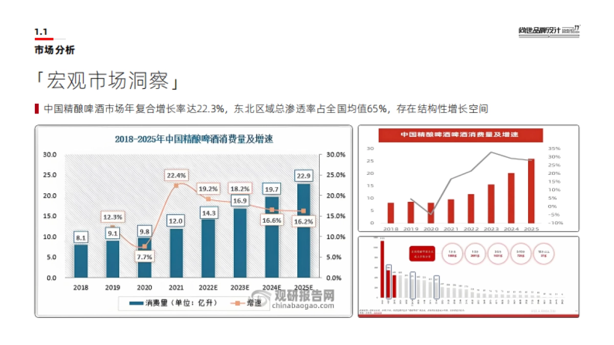 【整合】幸会啤酒品牌升级方案_第4页