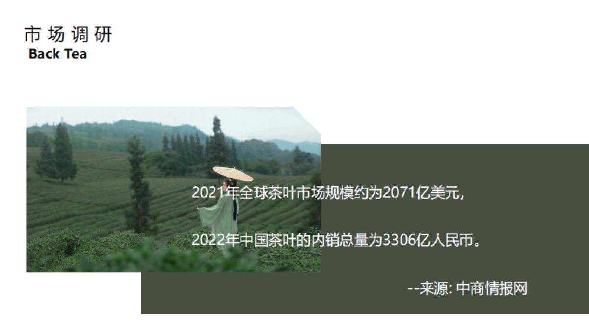 【营销方案】女性红茶超级品牌打造营销全案_第6页