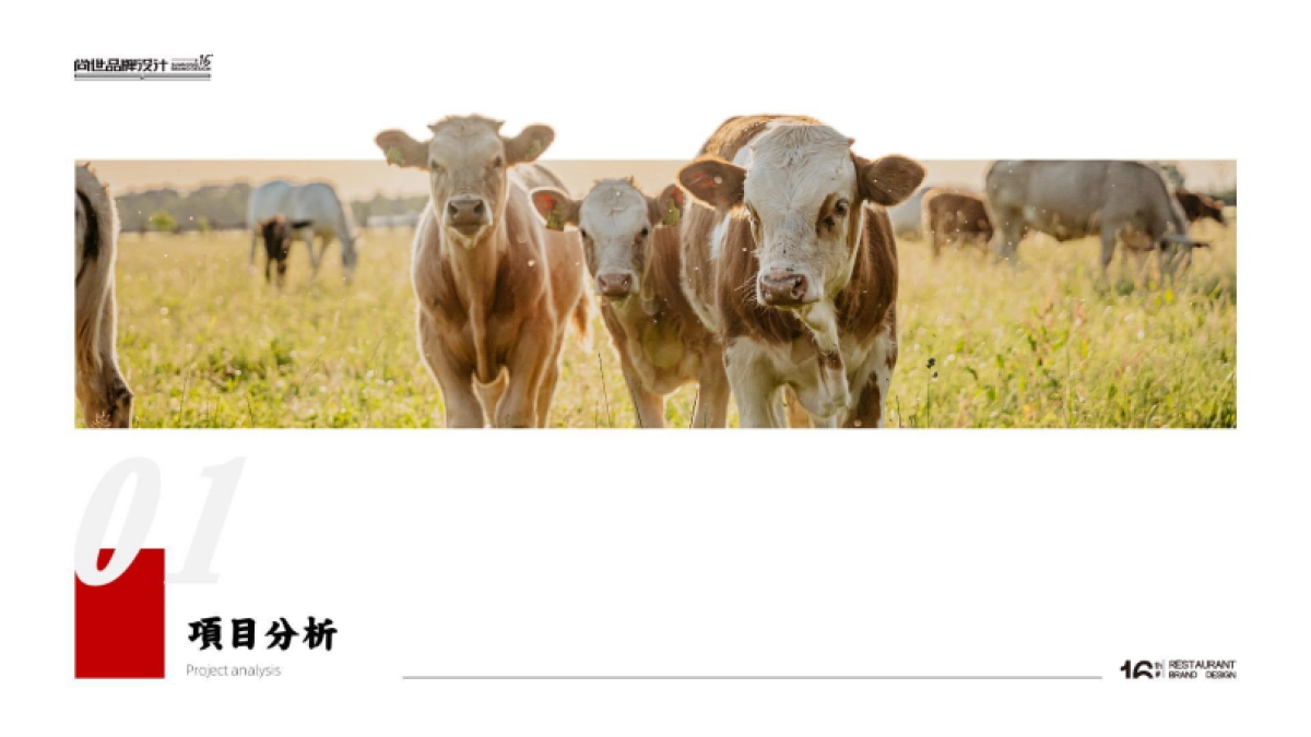 【尚世】四面八方牛肉面品牌提案_第3页