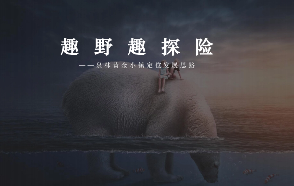 2021奥园泉林黄金小镇定位规划推广案_第1页