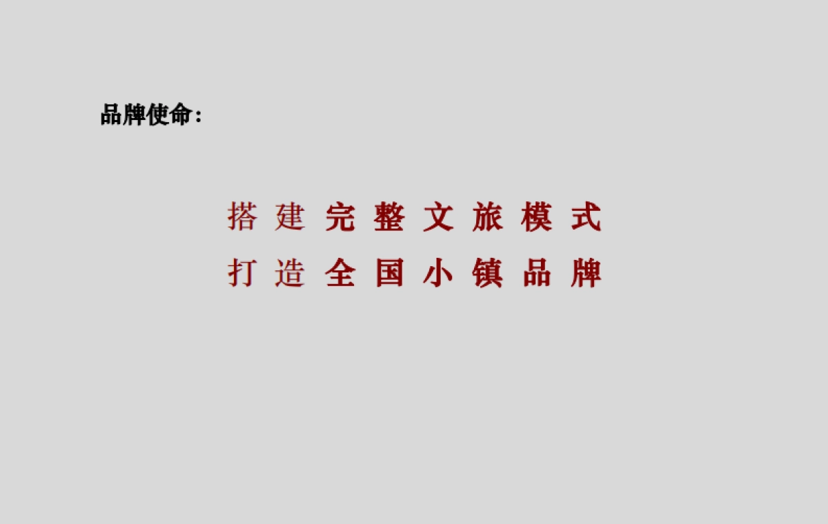 2021奥园泉林黄金小镇定位规划推广案_第4页
