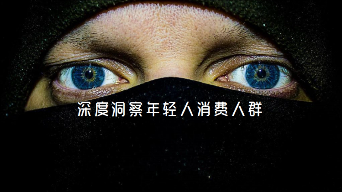 2018喜临门睡眠枕品牌策划方案_第6页