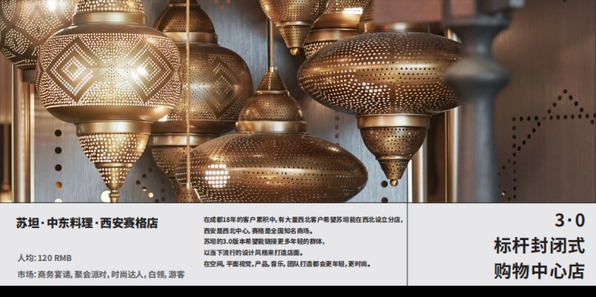 苏坦现代中东料理品牌手册_第10页