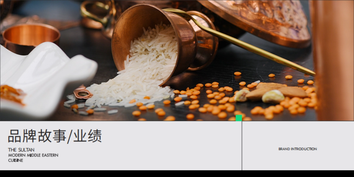 苏坦现代中东料理品牌手册_第3页