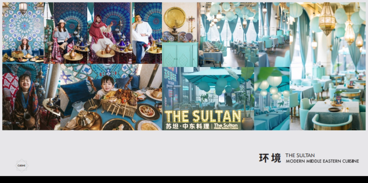 苏坦现代中东料理品牌手册_第9页