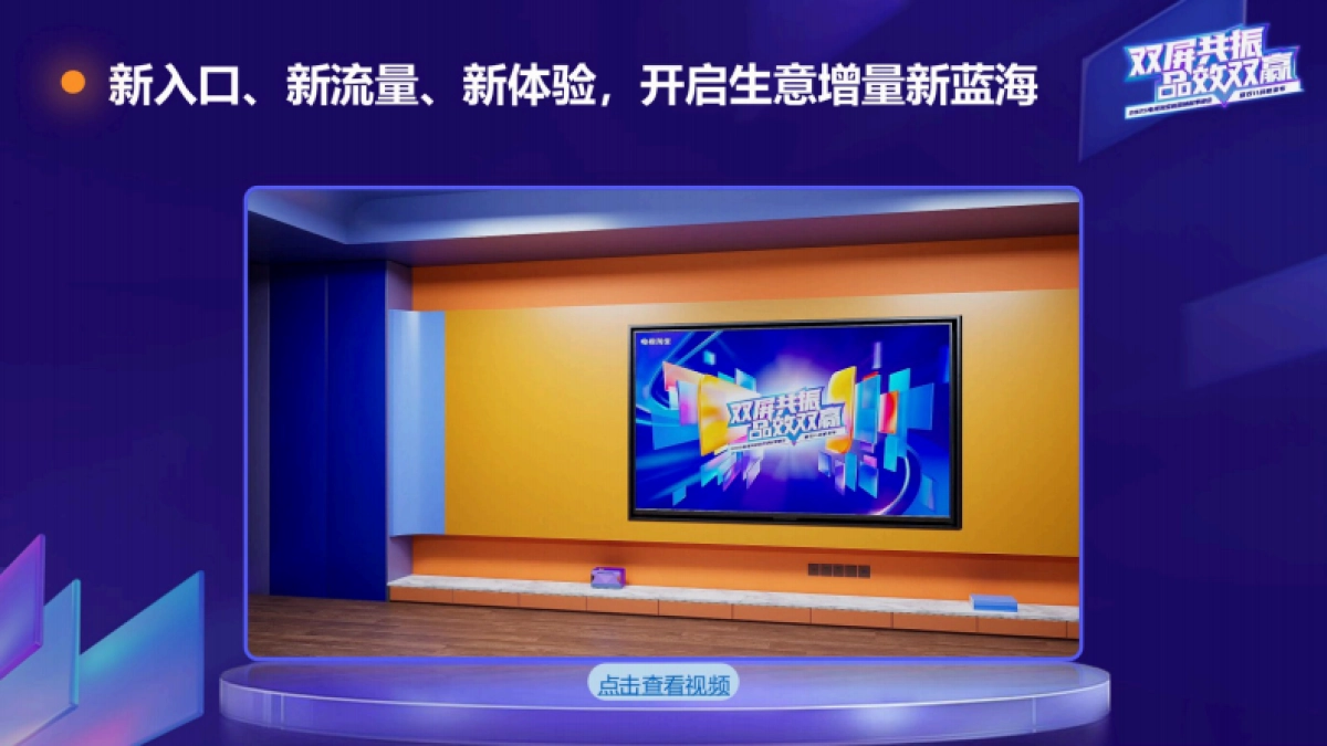 淘宝25年双11招商方案_第3页