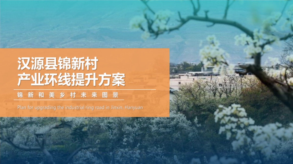 2025汉源县锦新村乡镇农村水果种植产业乡村振兴规划运营方案_第1页
