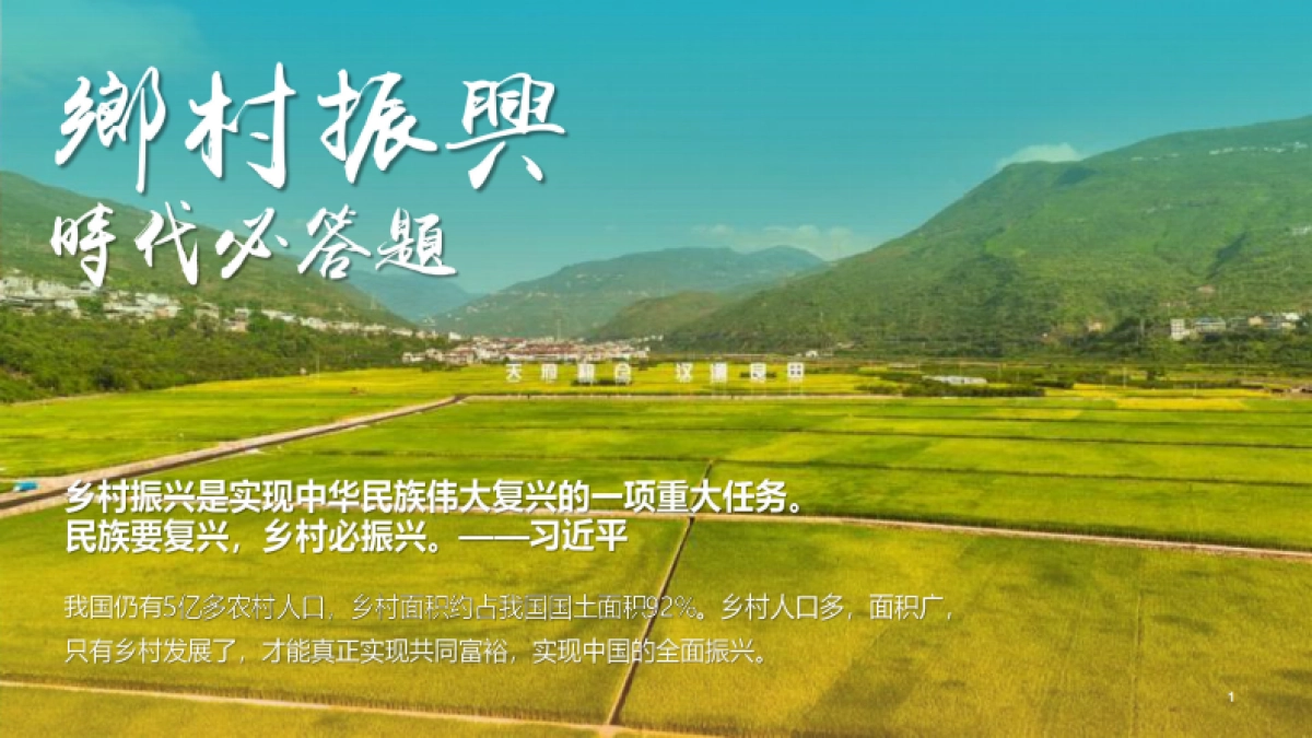 2025汉源县锦新村乡镇农村水果种植产业乡村振兴规划运营方案_第2页